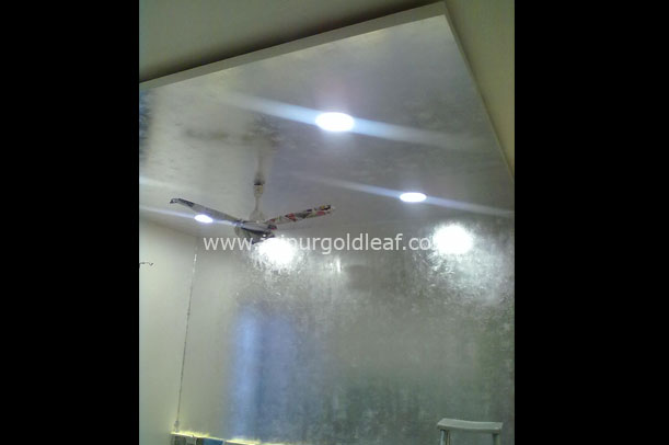 Silver Leafing Shyam Nagar Bungalow